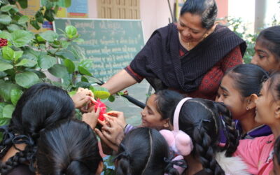FIBONACCI SERIES  -Karajala Primary School,(Gujcost.DST.Govt.Of Gujarat),Nov.22nd,2025
