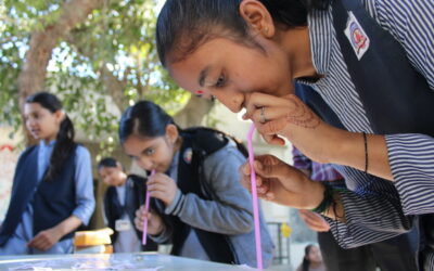 CREATIVE MATHS ACTIVITY-NMD FESTIVAL-Gamapipaliya Primary School,(Gujcost.DST.Govt.Of Gujarat),Dec.20th,2025