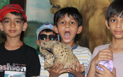 WILDLIFE PRESERVATION-A Grade Classic,Amreli,(Gujcost.DST.Govt.Of Gujarat) Apr.27th,2026